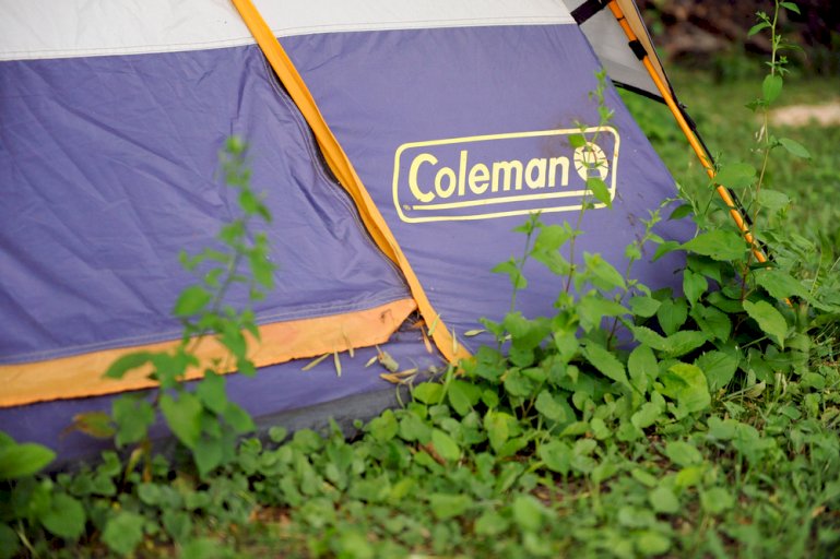 Best Coleman Tents